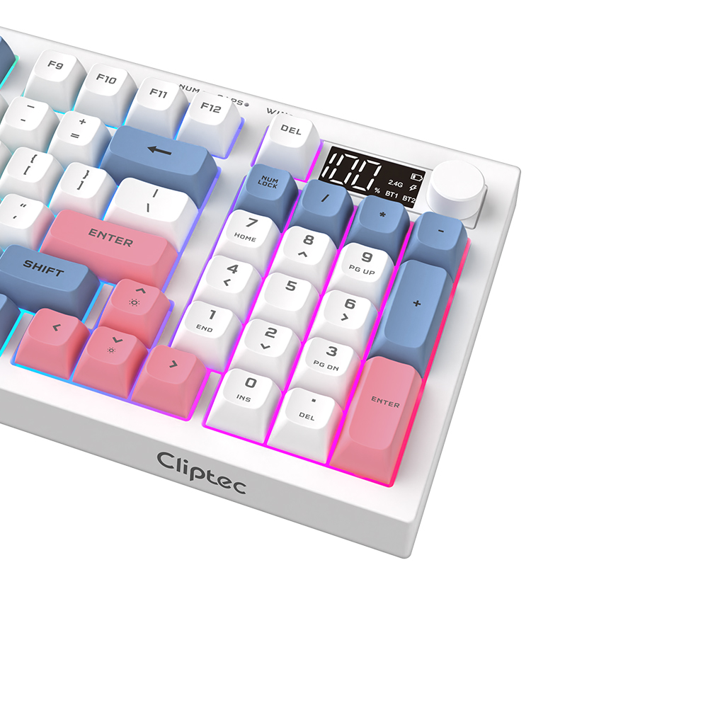 RGK651_8