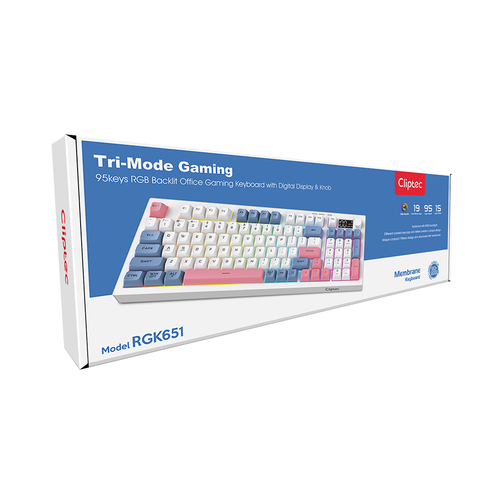 RGK651_11