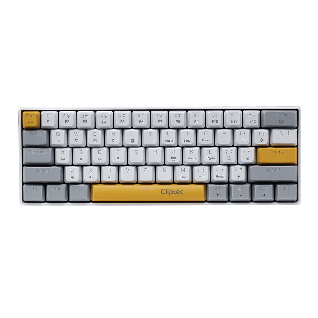 RGK931_Y