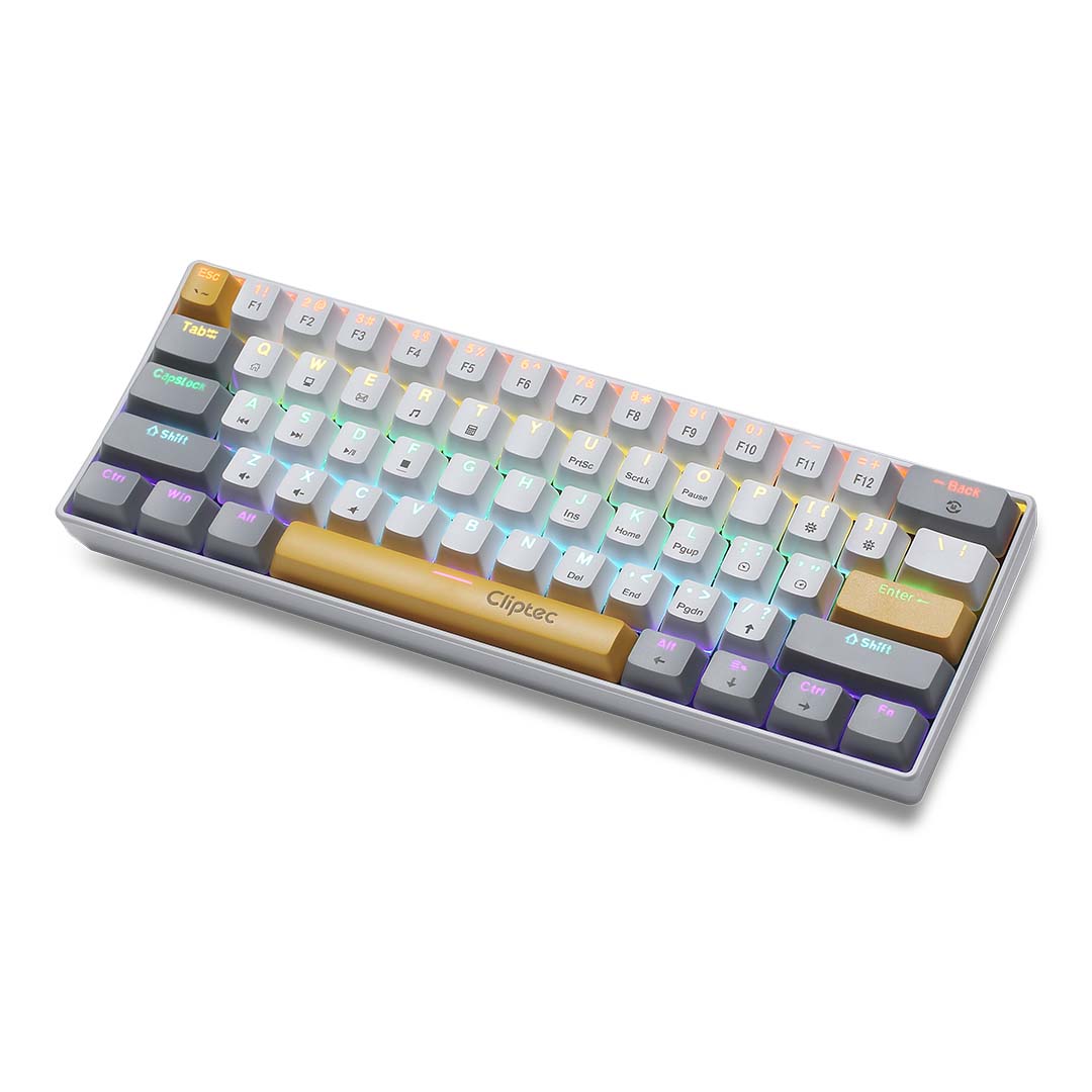 RGK931_Y2
