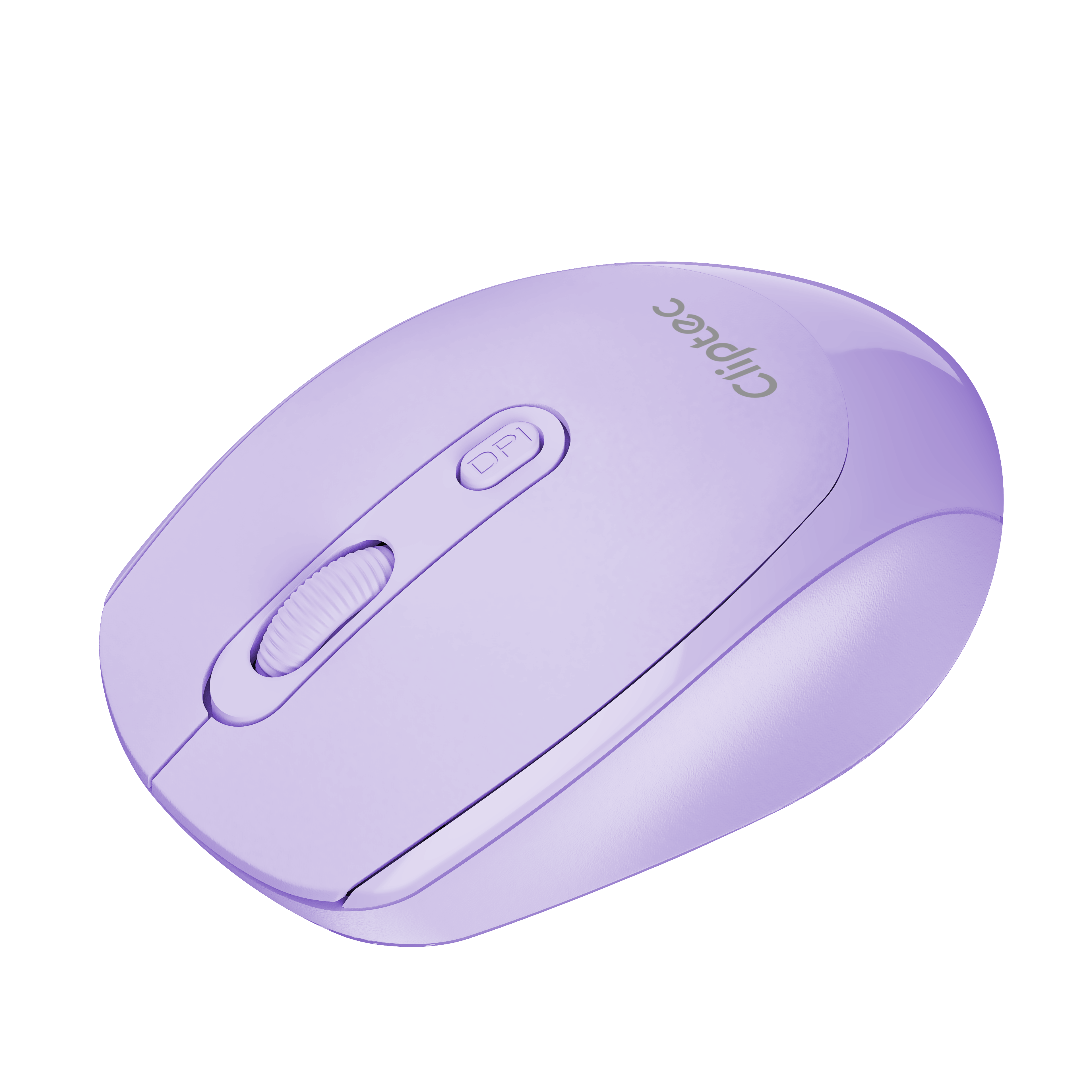 Autumn Purple_New_Side_01