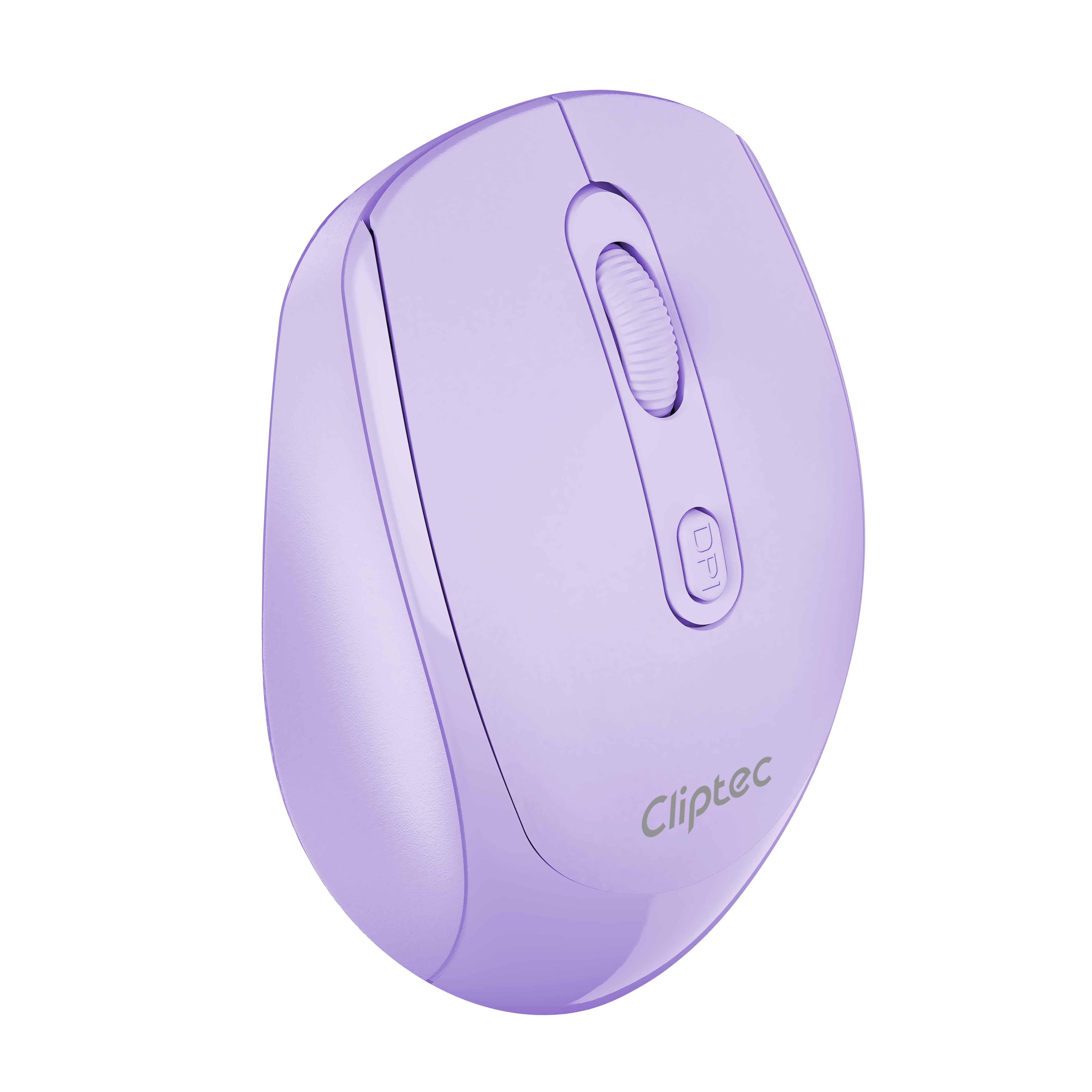 Autumn Purple_New_Side_01B