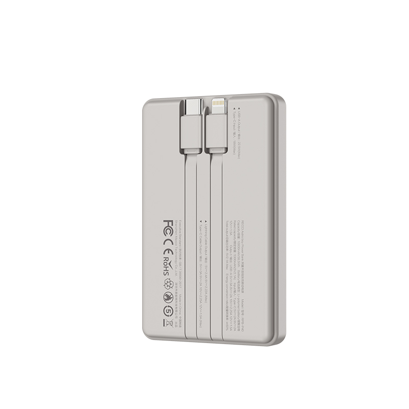 RPB_P40_grey (3)