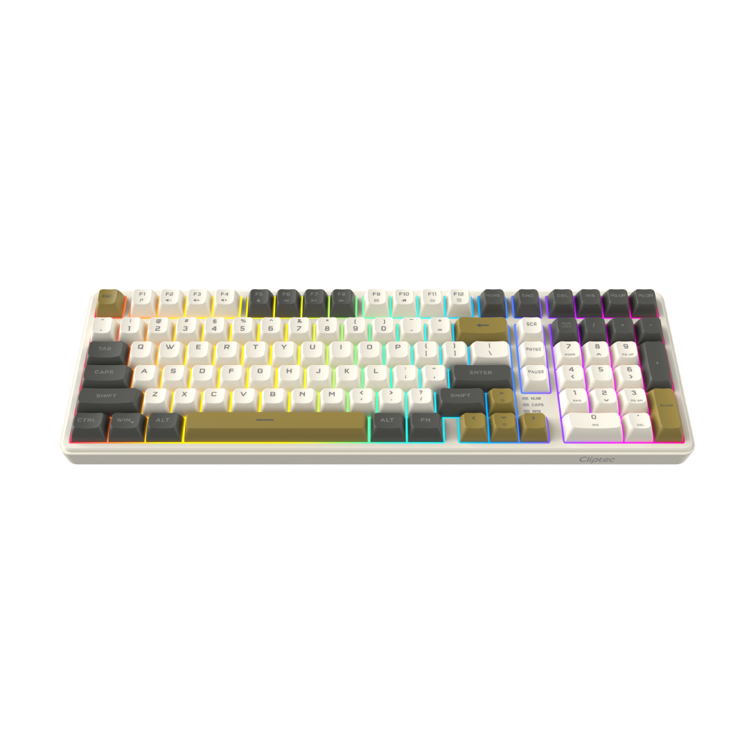 RGK850_ (2)