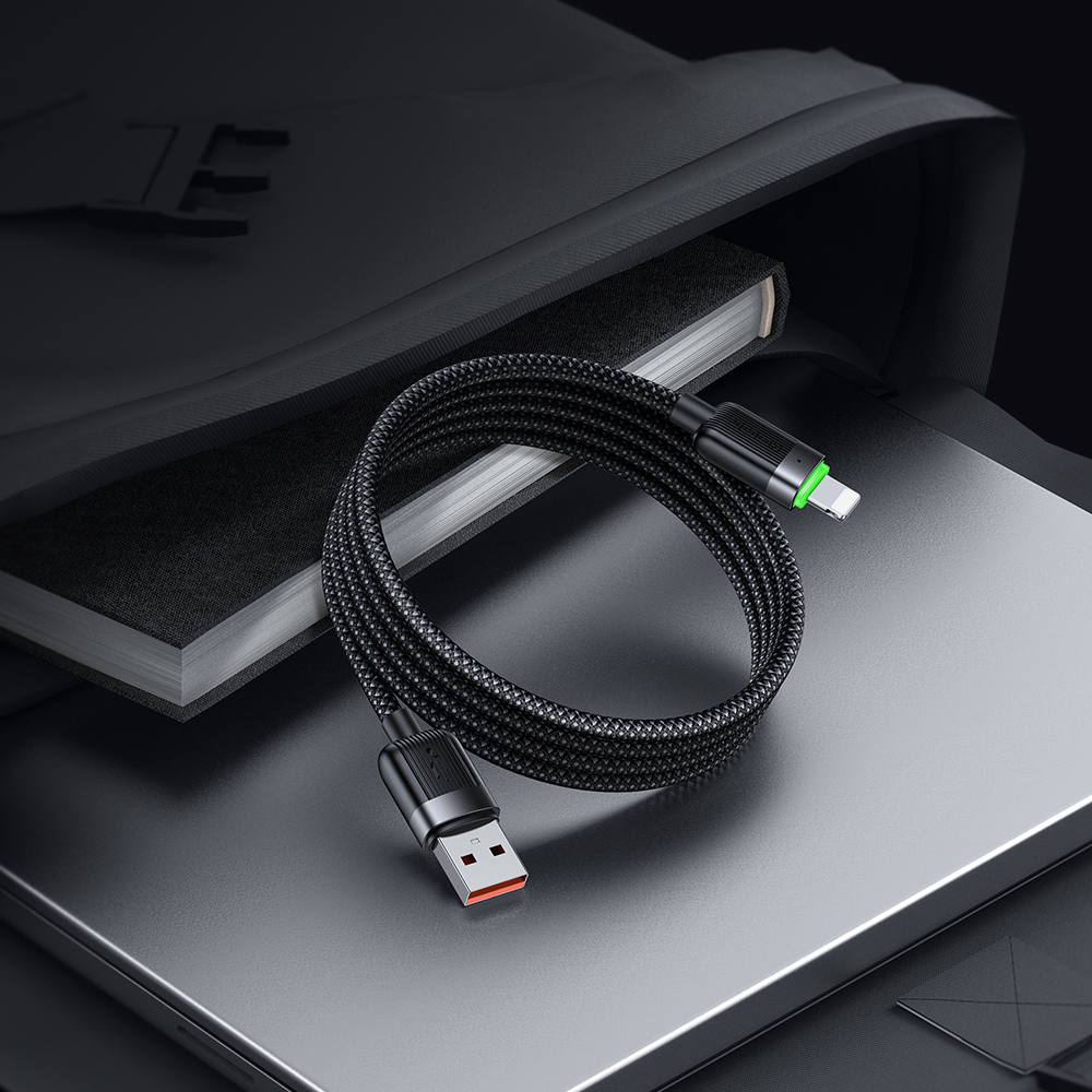 CA600_back (7)